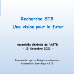 Recherche STB – Une vision pour le futur
